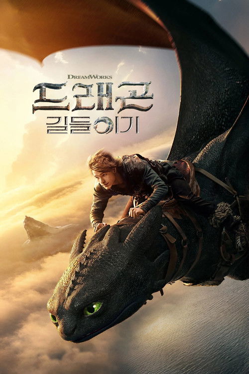드래곤 길들이기(2025)