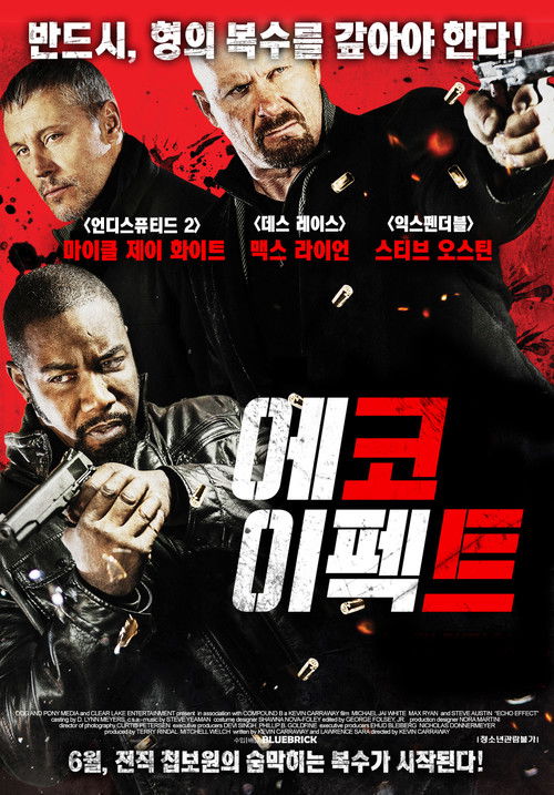 에코 이펙트