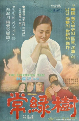상록수