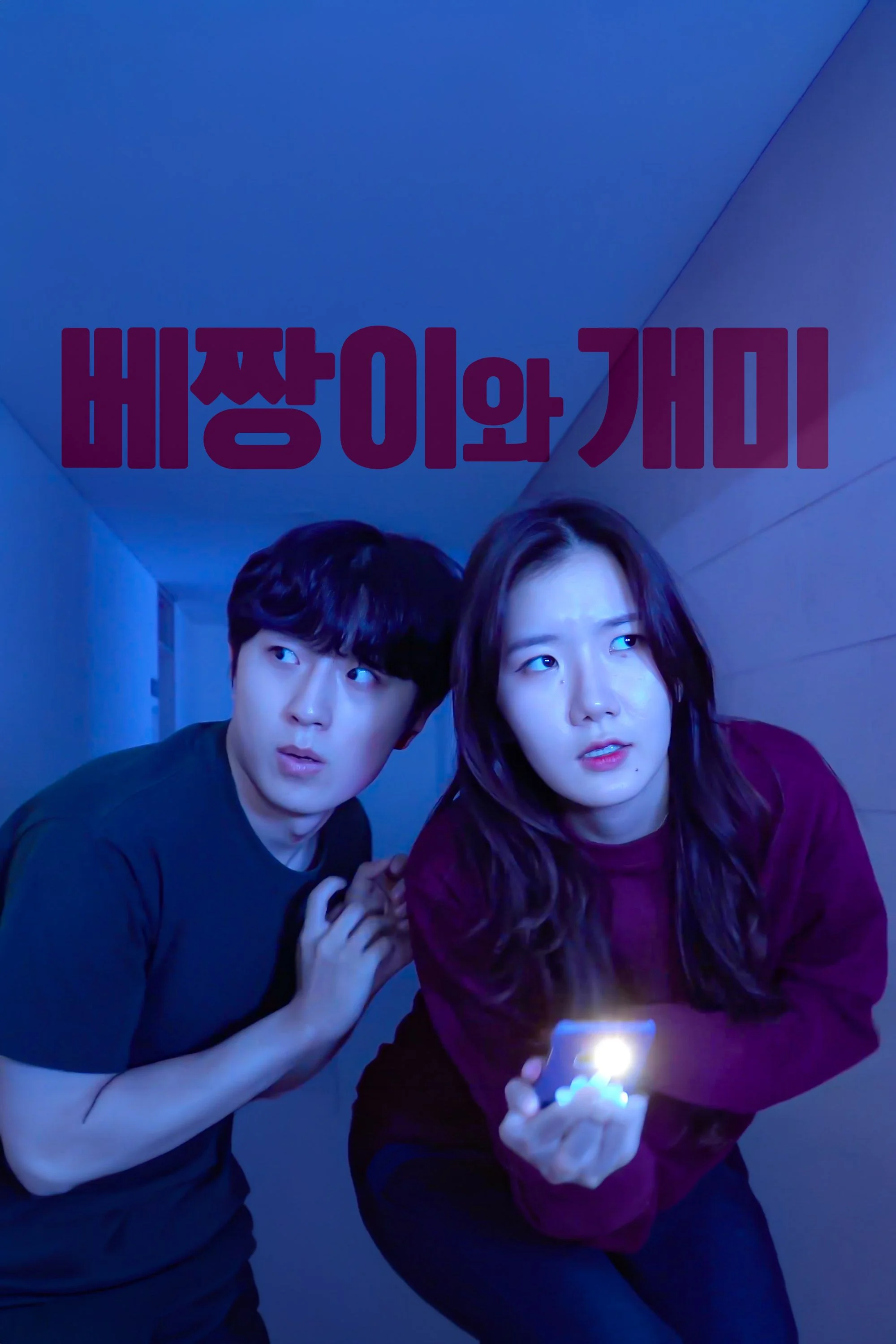 베짱이와 개미