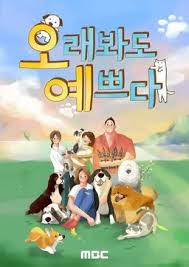 오래봐도 예쁘다