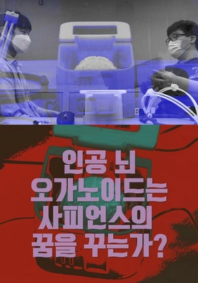 인공 뇌 오가노이드는 사피언스의 꿈을 꾸는가?