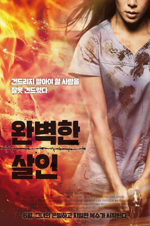 완벽한 살인