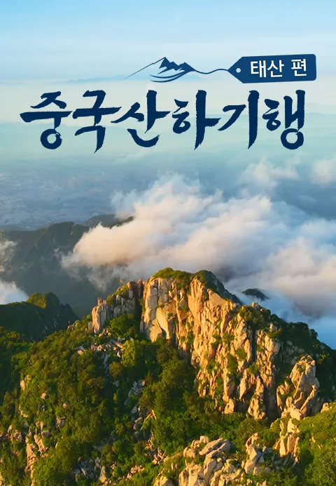 중국산하기행 태산편