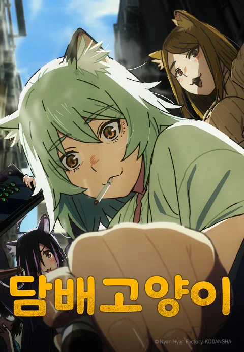 담배 고양이