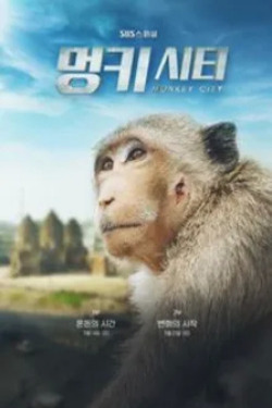 멍키시티