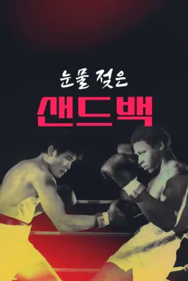 눈물 젖은 샌드백