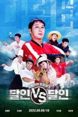 달인 vs 달인