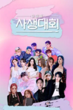 아이돌 사생대회