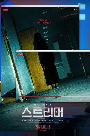 스트리머