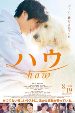 하우