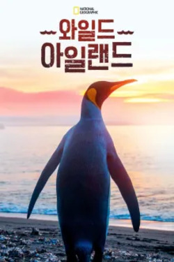 와일드 아일랜드