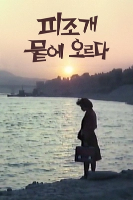 피조개 뭍에 오르다