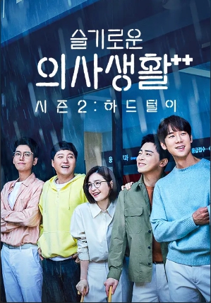 슬기로운 의사생활 시즌 2 : 하드털이