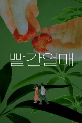 빨간열매