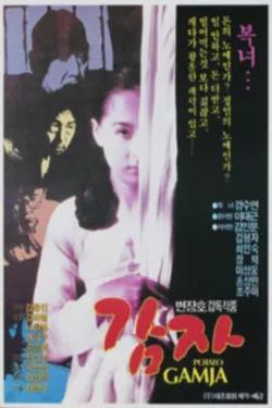 감자