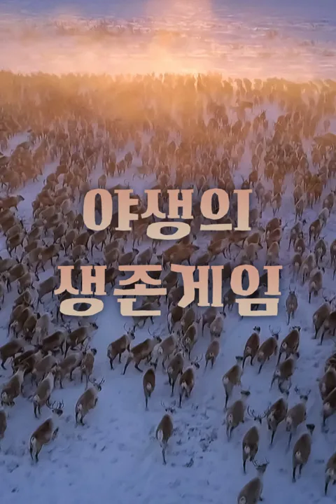 야생의 생존게임