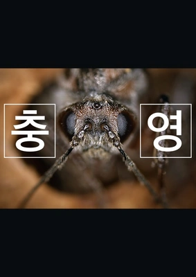 충영