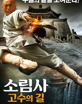 소림사: 고수의 길