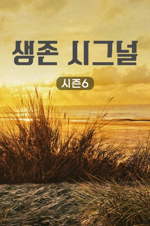 생존 시그널 시즌 6