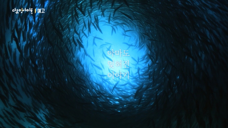 물때, 달의 바다 스페셜