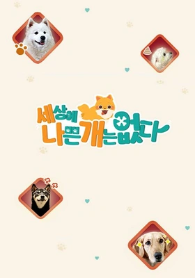 세상에 나쁜 개는 없다 시즌 4