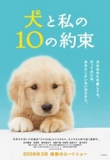 강아지와 나의 10가지 약속