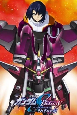 기동전사 건담 SEED DESTINY 스페셜 에디션: 각자의 검