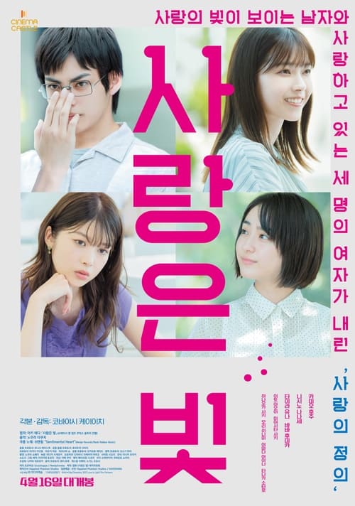 사랑은 빛