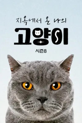 지옥에서 온 나의 고양이 시즌 8