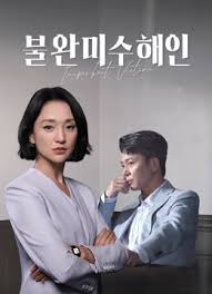 불완미수해인