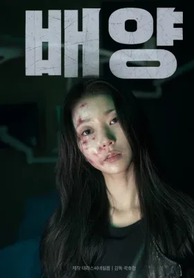 배양