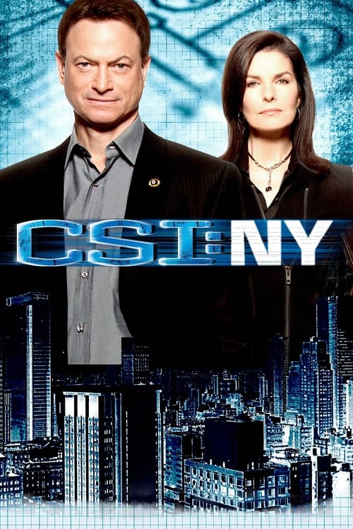 CSI: 뉴욕 시즌 6