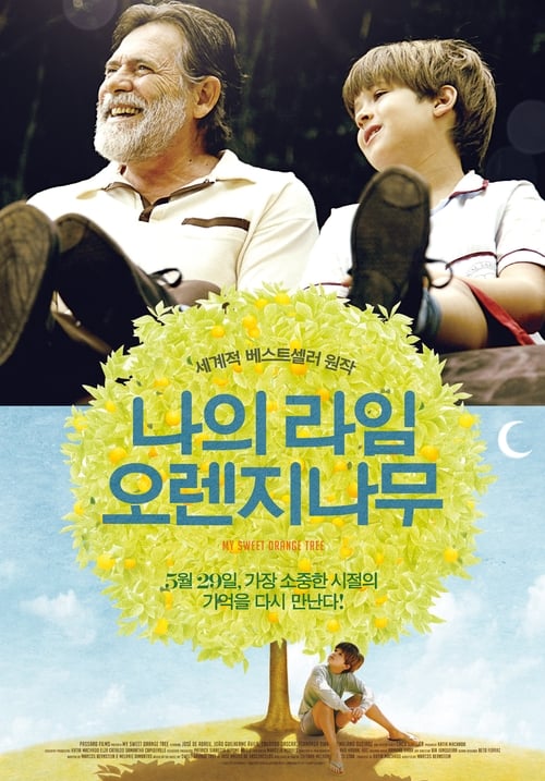 나의 라임 오렌지 나무