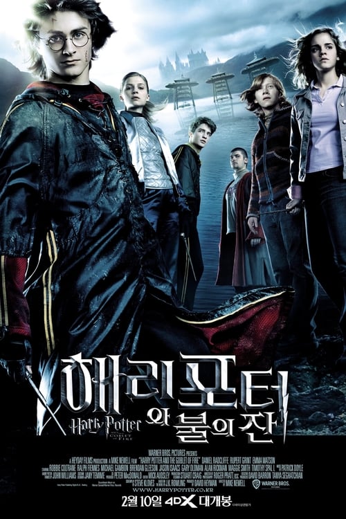 해리 포터와 불의 잔 더빙판