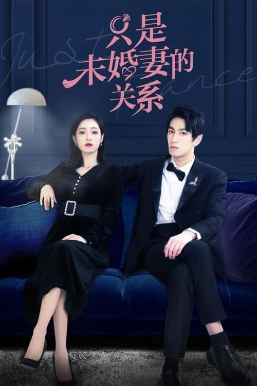 지시미혼처적관계 (只是未婚妻的关系)